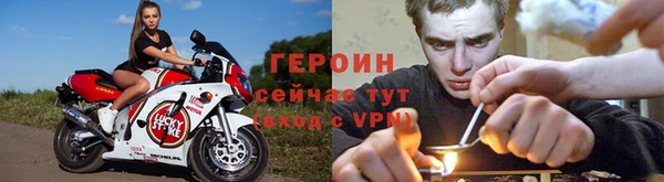 индика Дмитриев