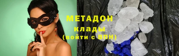 индика Дмитриев
