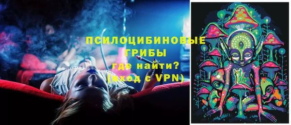 дживик Гусиноозёрск