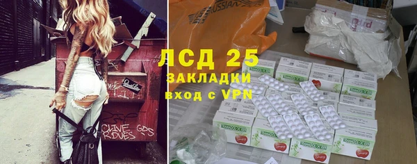 индика Дмитриев