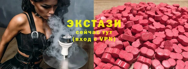 индика Дмитриев