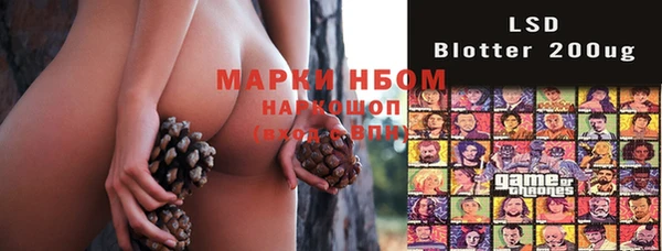 индика Дмитриев