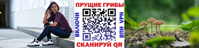 Псилоцибиновые грибы мухоморы Шахты