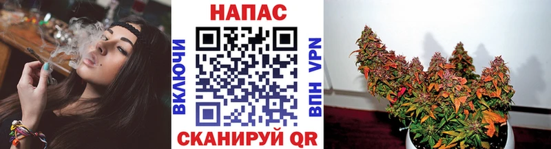 Бошки марихуана OG Kush Шахты